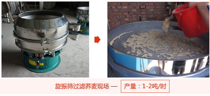 旋振篩過濾蕎麥現(xiàn)場，產(chǎn)量可達2噸每小時。